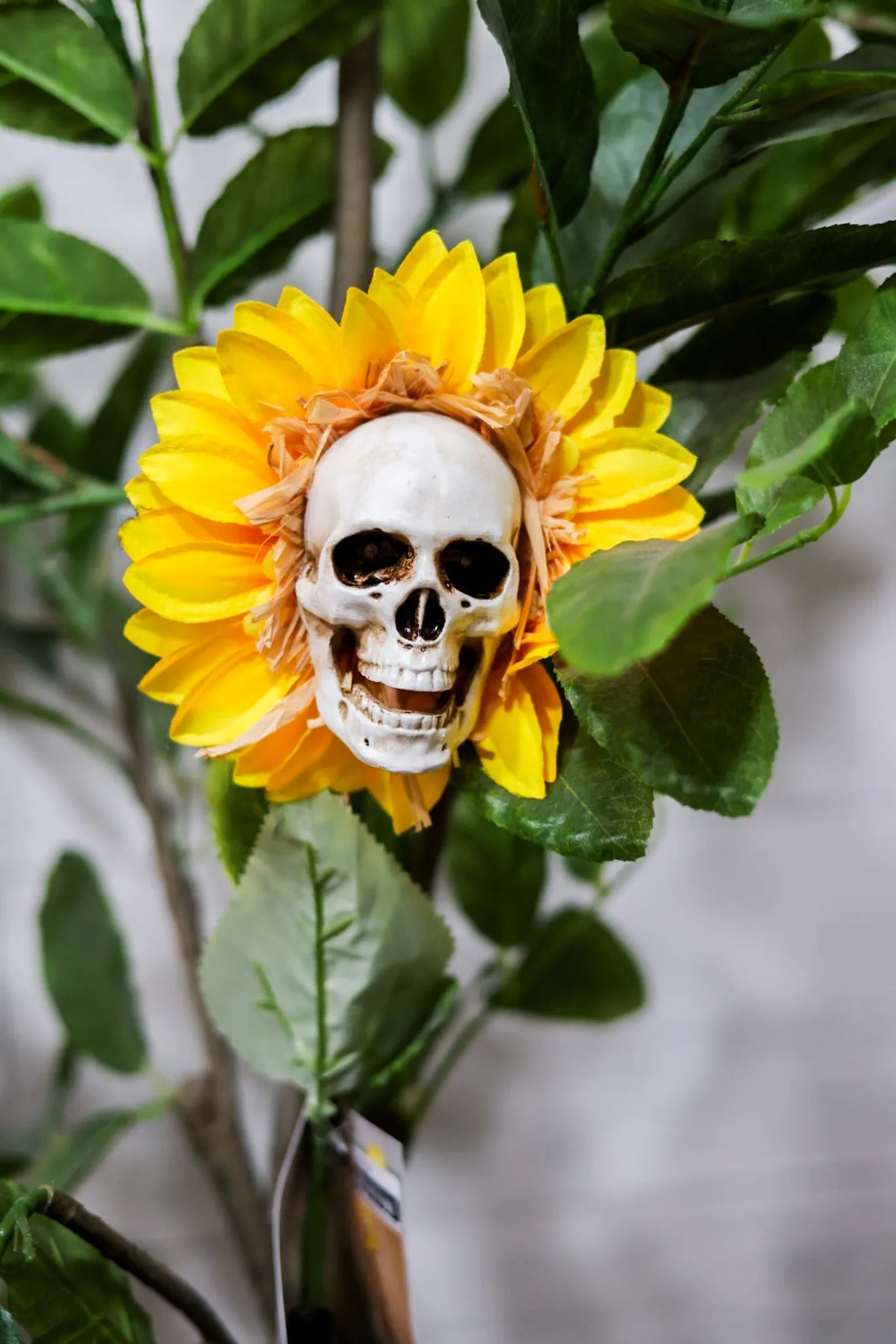 27.5" Solar Skull Sunflower Stake FINAL SALE