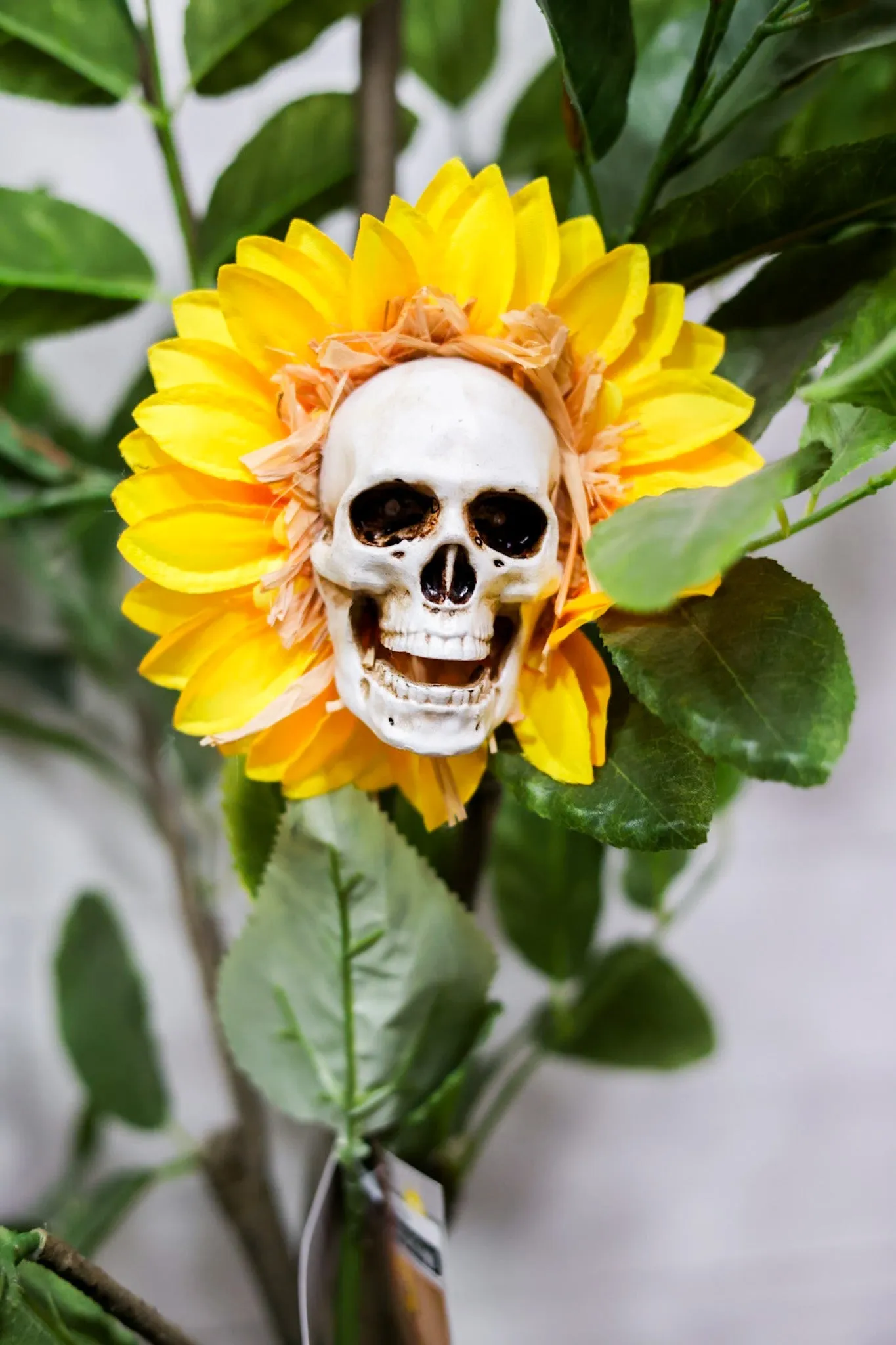 27.5" Solar Skull Sunflower Stake FINAL SALE