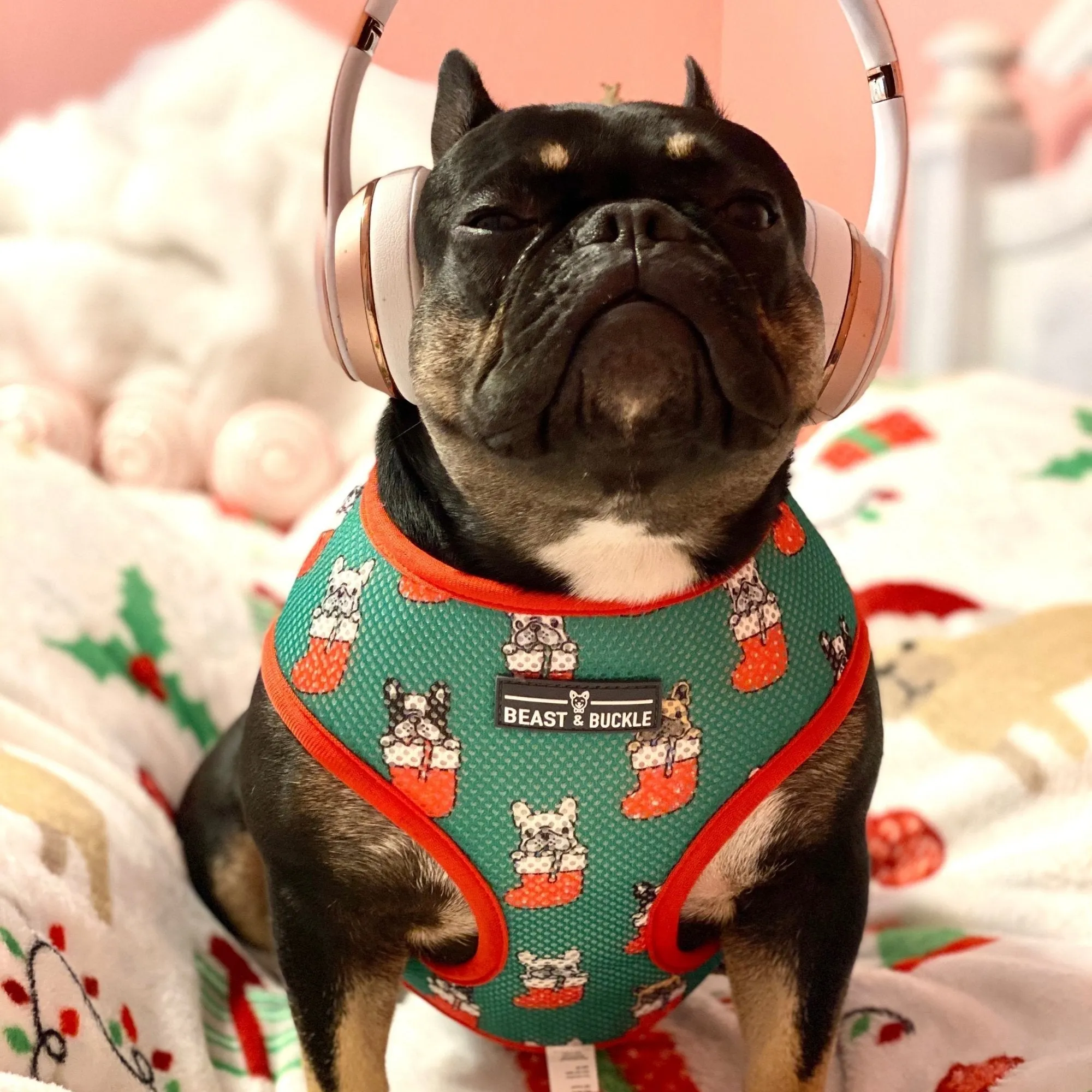 Christmas Walking Bundle