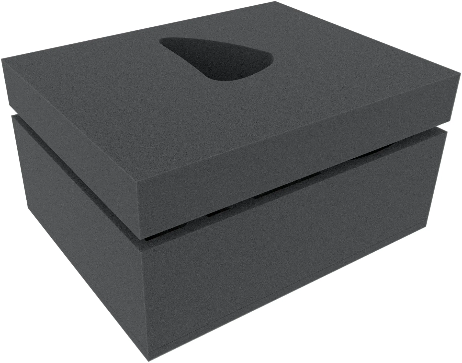 DARK SOULS - Guardian Dragon   Asylum Demon - Foam tray set