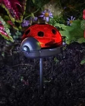 LED Solar Powered Ladybird Stake Light