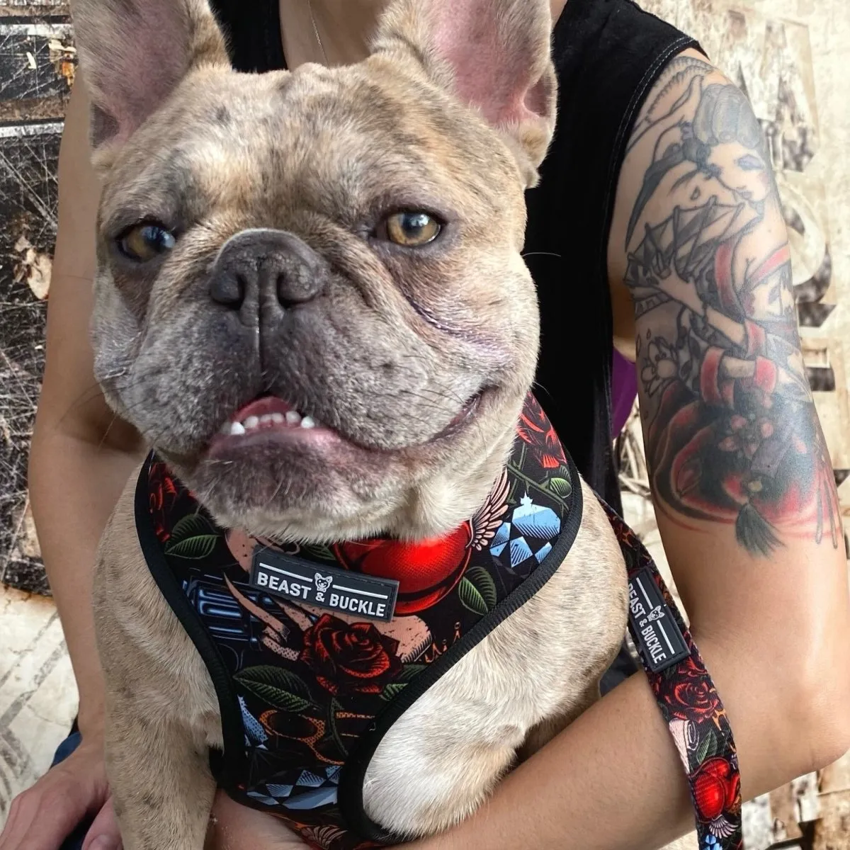 Tattoo Walking Bundle